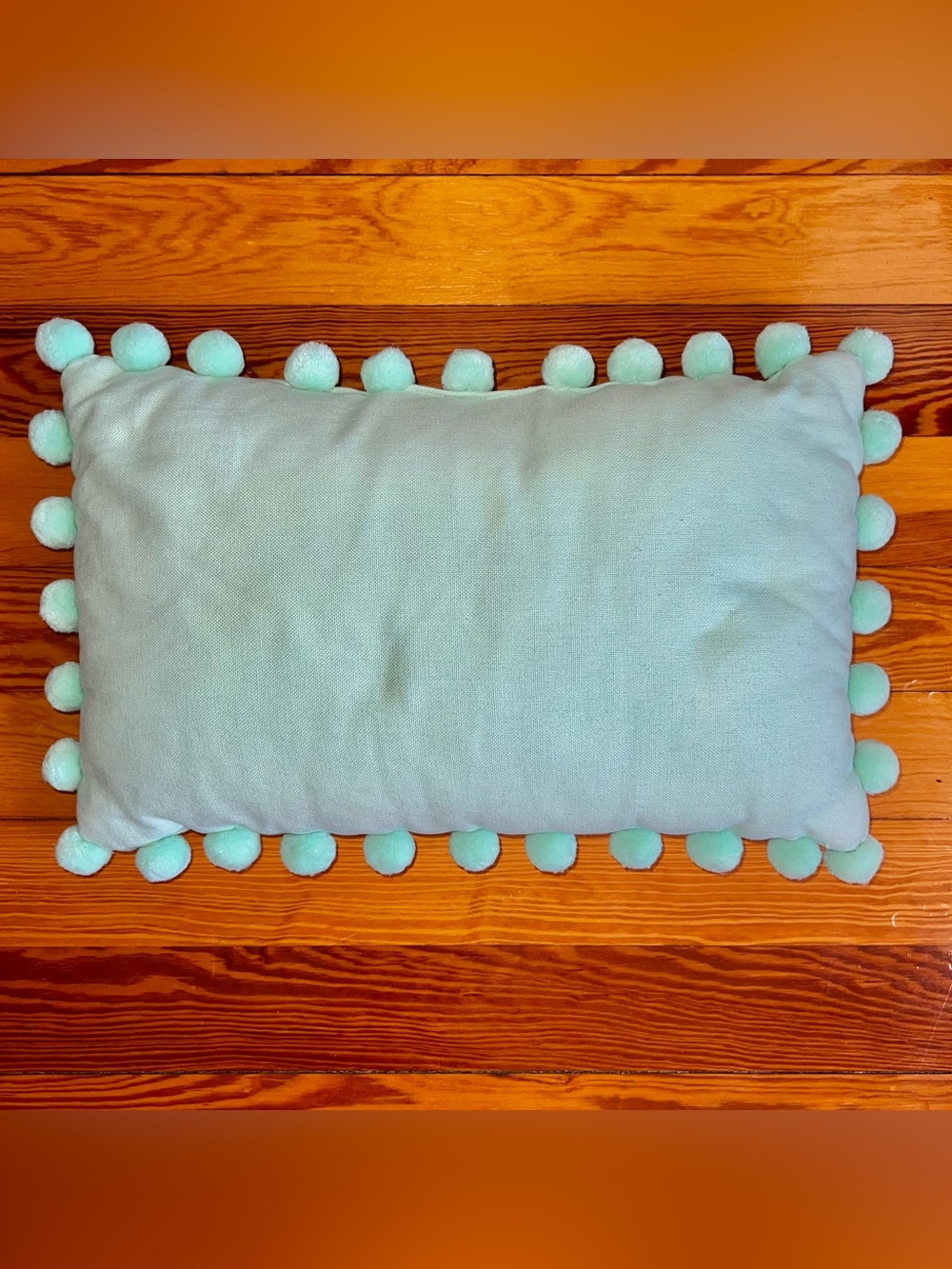 Pompom Border Pillow
